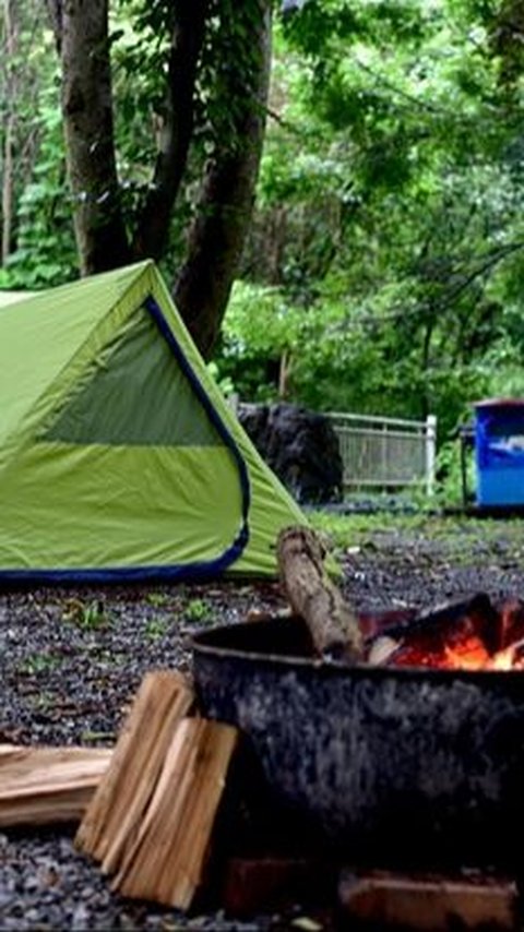 30 Camping Quotes Funny To Bring Laughter To Your Adventure 