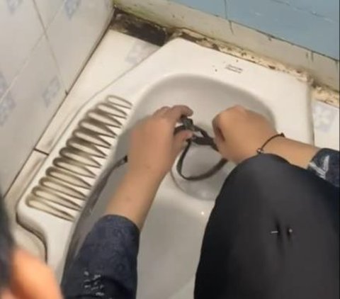Black Creature Takes the Wrong Way Out and Appears in the Toilet Hole, the Action of the Occupants of the House When Catching It is Adorable