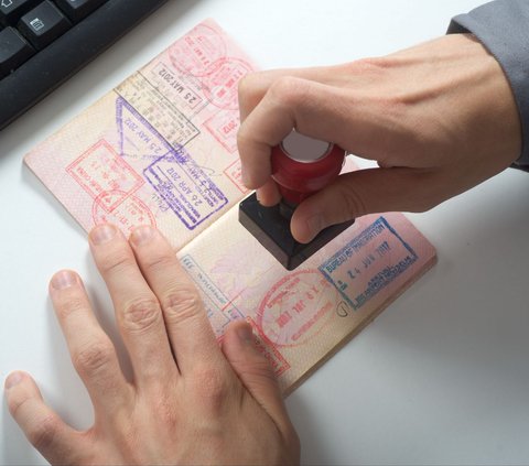 El Salvador Offers 5,000 Free Passports for Foreign Workers, These Professions Are Most Desired