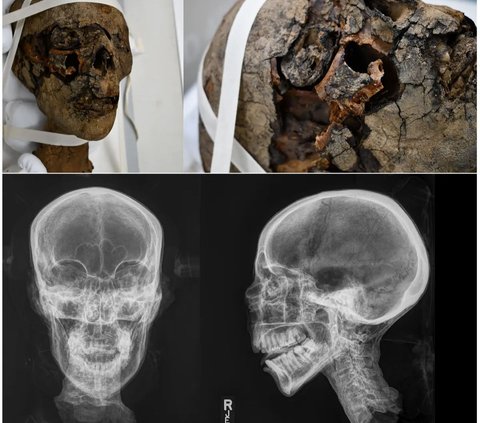 Kepala Mumi Mesir Ditemukan di Loteng Rumah, Awalnya Dibawa Sebagai Suvenir