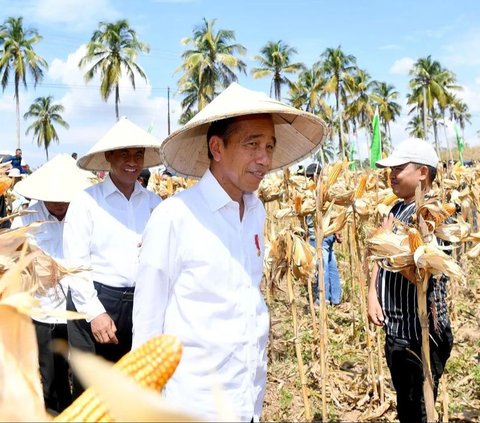 Labor Day Celebration 2024, Jokowi: Every Worker is a Hero