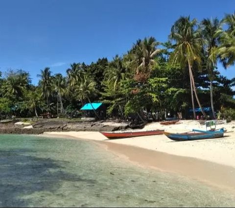 Mengenal Uniknya Pantai Bakaro di Manokwari, Ada Tradisi Memanggil Ikan Pakai Peluit