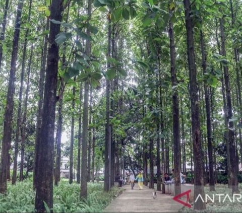 Heboh Sampah Kondom Berserakan di Taman RTH Jakarta Barat