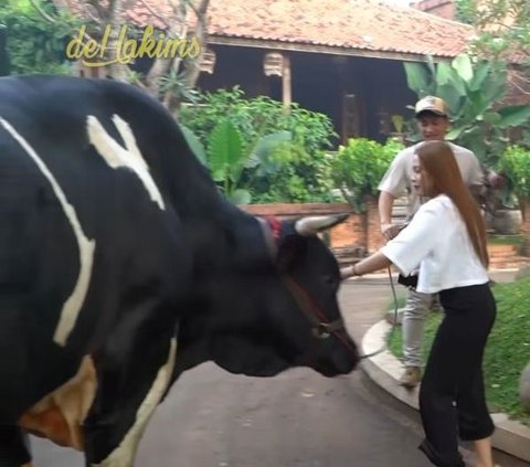 Panic! Moments when Rara Lida is hit by Irfan Hakim's giant cow