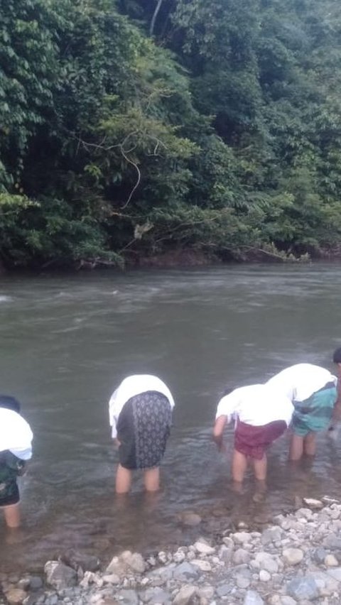 Asa Warga Jambi Menanti Air Bersih di Tengah Kali Tercemar Tambang Ilegal