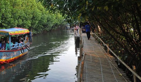 <b>9. Hutan Mangrove Muara Gembong</b><br>