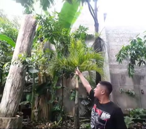 Living in a House Like a Wild Forest, Here's a Portrait of the Bathroom of Wealthy Entrepreneur Haji Asari, Everything Made of Stone and Fossil Wood