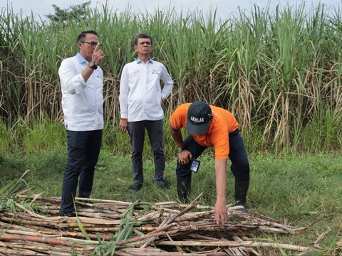 PTPN Salurkan Santunan Hari Tua Karyawan, Totalnya Tembus Rp284 Miliar