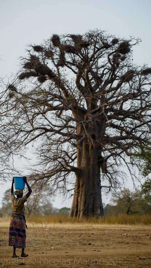 12. Burkina Faso