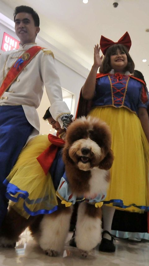 FOTO: Mewahnya Pesta Ulang Tahun Anjing Rocky dan Jesslyn di Mal Jakarta, Dimeriahkan Parade Busana ala Disney