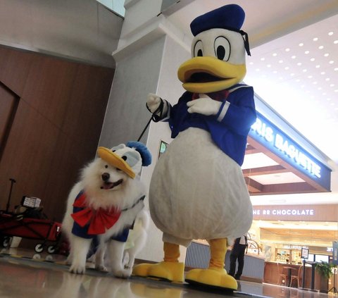 FOTO: Mewahnya Pesta Ulang Tahun Anjing Rocky dan Jesslyn di Mal Jakarta, Dimeriahkan Parade Busana ala Disney