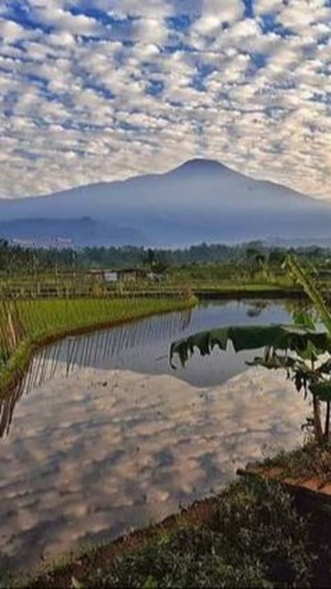 Gunung Slamet Alami Peningkatan Aktivitas Gempa