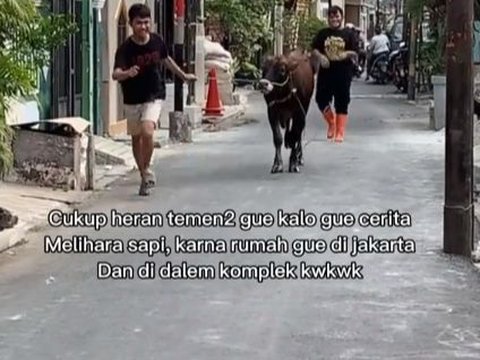 Pria Ini Beli Sapi saat Putus Cinta, Kisahnya Viral Curi Perhatian