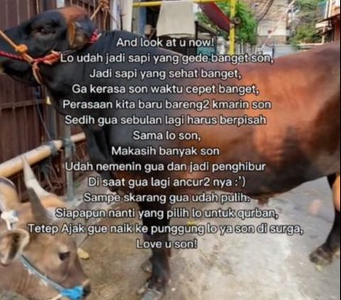 Pria Ini Beli Sapi saat Putus Cinta, Kisahnya Viral Curi Perhatian