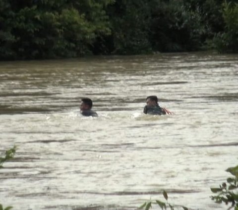 Aksi Dramatis Dua Anggota TNI Berenang, Berjibaku Selamatkan Petani Terseret Arus Deras Sungai Lekukan