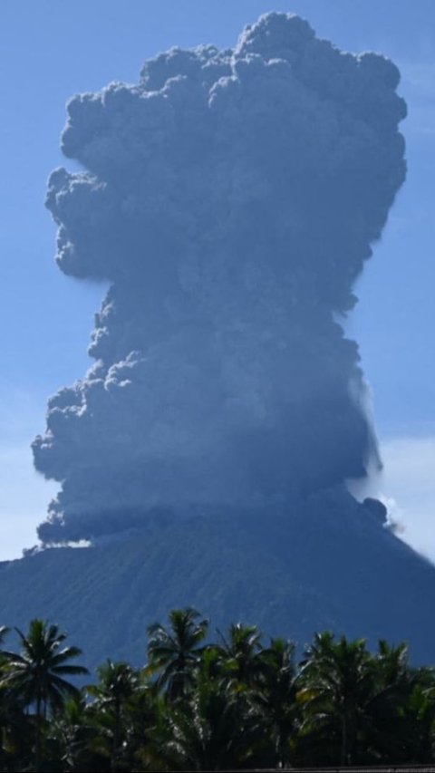 Letusan Gunung Ibu yang terletak di barat laut Pulau Halmahera, Maluku Utara terjadi pada pukul 09:12 WIT dan disertai suara keras dan suara gemuruh. Foto: Azzam Risqullah / AFP