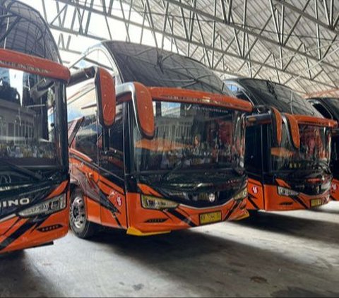 Prevent Accidents, Ministry of Transportation Distributes Tips for Choosing Tourist Bus PO