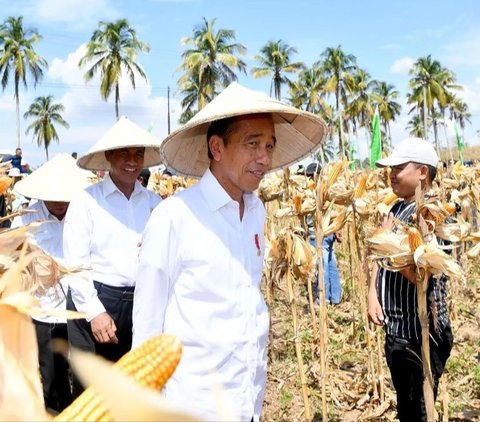 Harga Pangan Naik, Jokowi: Patut Kita Syukuri Tidak Drastis, Negara Lain 2 Kali Lipat