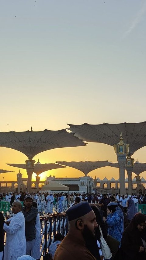 Jemaah Lansia Diminta Tak Paksakan Ibadah Sunnah di Masjid, Perhatikan Hal ini Jika Ingin ke Masjid Nabawi