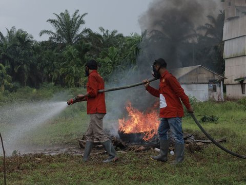 BRGM Ajak 6 Provinsi Belajar Restorasi Gambut di Desa Pandan Sejahtera Jambi