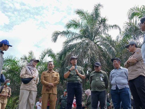 BRGM Ajak 6 Provinsi Belajar Restorasi Gambut di Desa Pandan Sejahtera Jambi