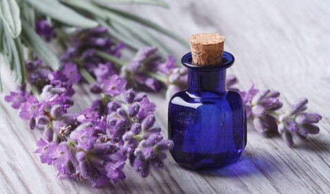 7. Lavender: Aroma yang Menenangkan