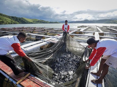 Menikmati Beragam Ikan Asli Indonesia, Bisa Jadi Camilan Enak hingga Cocok untuk Diet