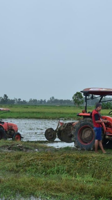 Seperempat Abad Diduduki Warga, 121 Hektare Lahan di Serdang Bedagai Kini Kembali 'Dipelukan' PTPN IV