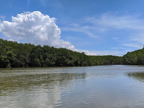 Keragaman Ikan