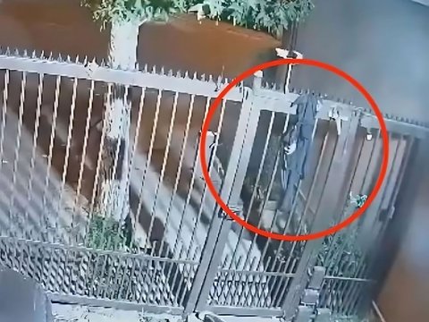 Oops! Pants Stuck While Climbing the Fence, Female Thief Escapes Empty-Handed and Almost Naked
