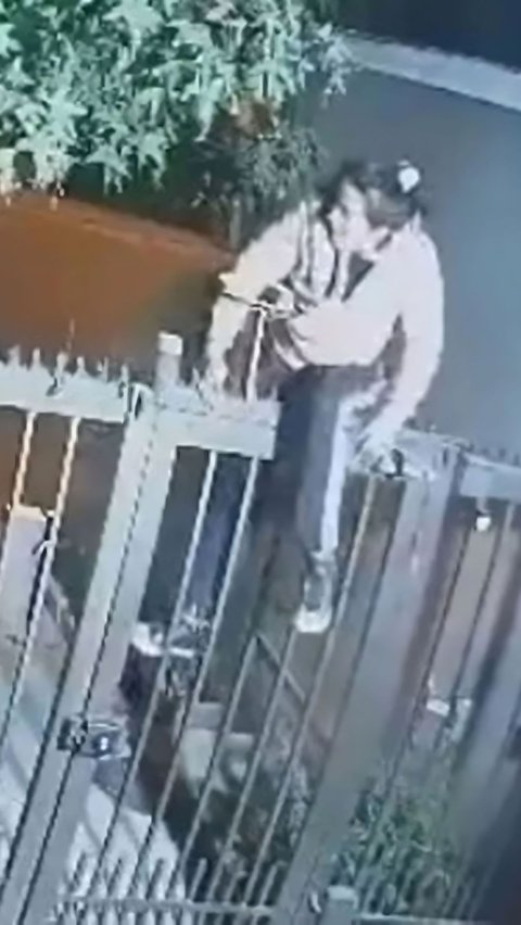 Apes! Pants Stuck While Climbing the Fence, Female Thief Escapes Empty-Handed and Almost Naked