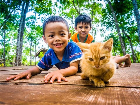 Manfaat Memelihara Kucing Bagi Anak