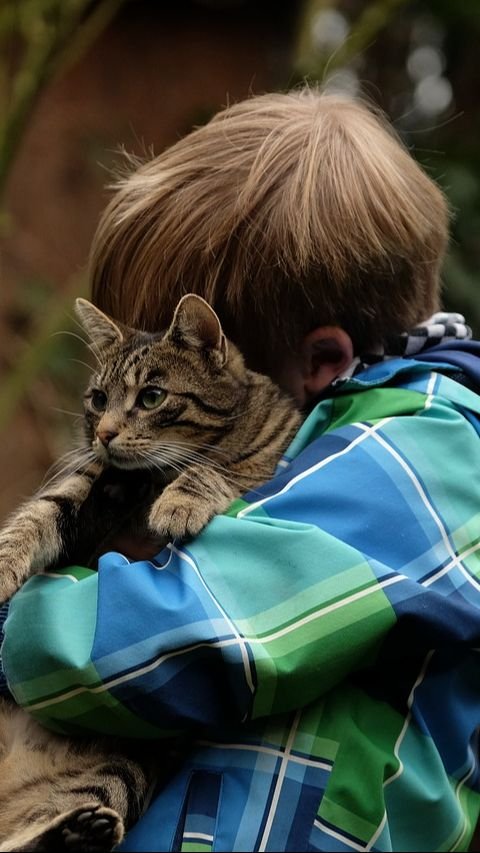 Manfaat Memelihara Kucing Bagi Anak, Melatih Rasa Empati