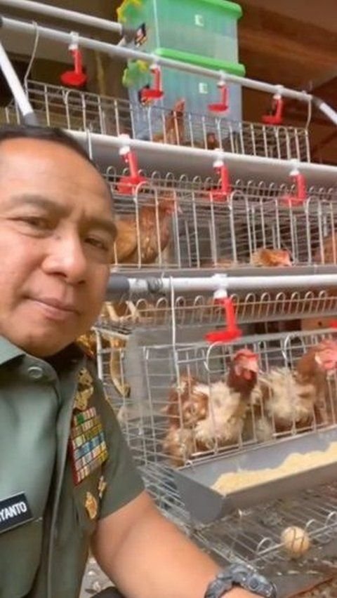 Bintang 4 di Pundak, Begini Gaya Sederhana Panglima TNI saat Ngasih Makan Kambing di Rumah