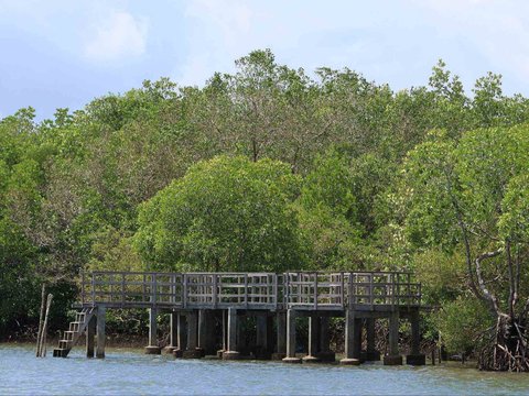 Eksotisme Teluk Pangpang Surga Tersembunyi di Banyuwangi, Habitat Favorit Ikan hingga Burung Unik