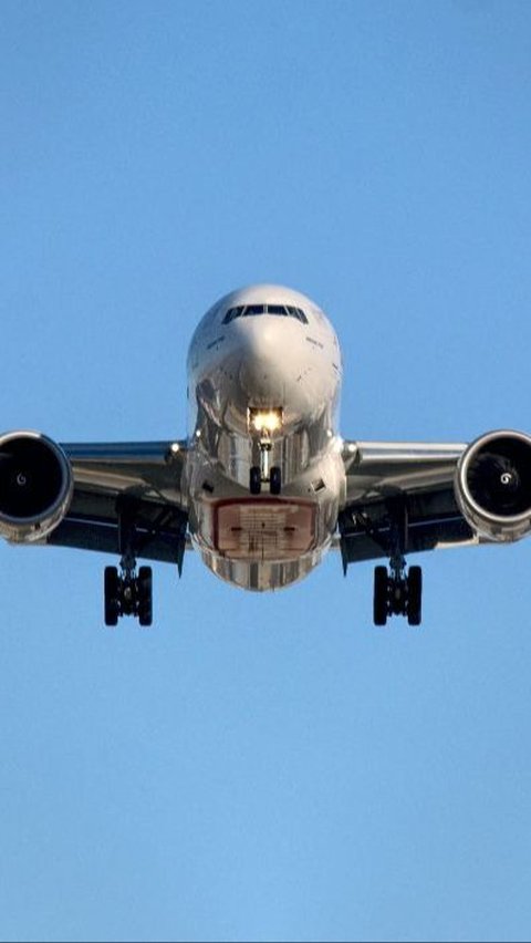 Jangan Sampai Keliru, Ini Perbedaan Pesawat Buatan Boeing dan Airbus