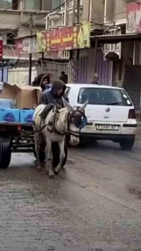 Di luar Rafah dan Deir al-Balah, serta wilayah tengah dan selatan lainnya, tidak ada sumber air tawar yang sebanding, mereka hanya memiliki air asin yang belum disaring dengan baik. Hal ini dapat menyebabkan masalah kesehatan bagi penduduk Khan Younis dan pusat kota.