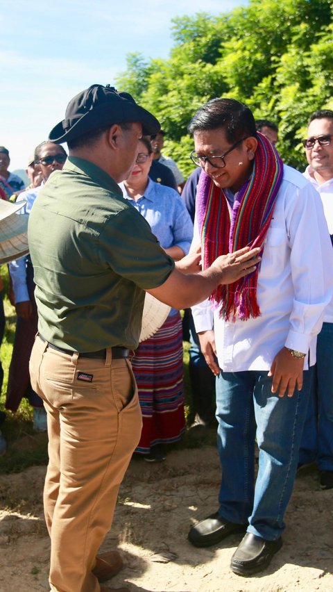 Produktivitas Padi di Timor Leste Meningkat Menjadi 7,5 Ton per Hektare dari Sebelumnya Hanya 1,5 Ton, Ternyata Ini Rahasianya