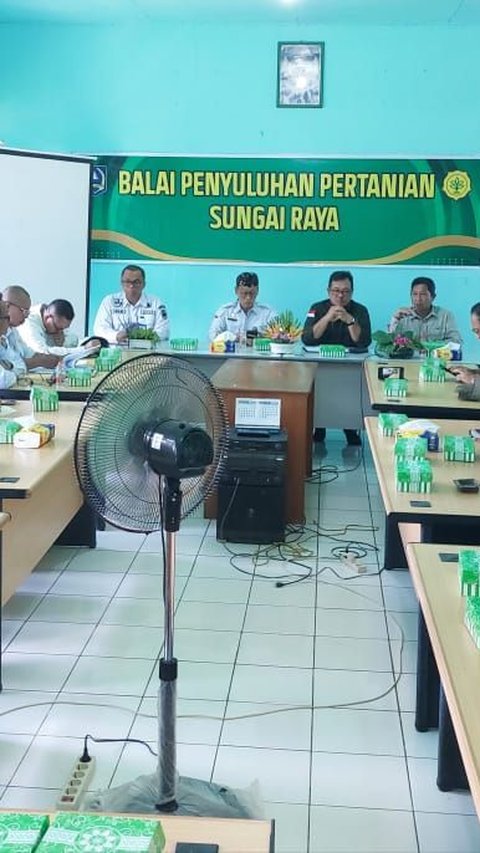 Strategi Pemerintah Tingkatkan Produksi Pangan Demi Swasembada Beras