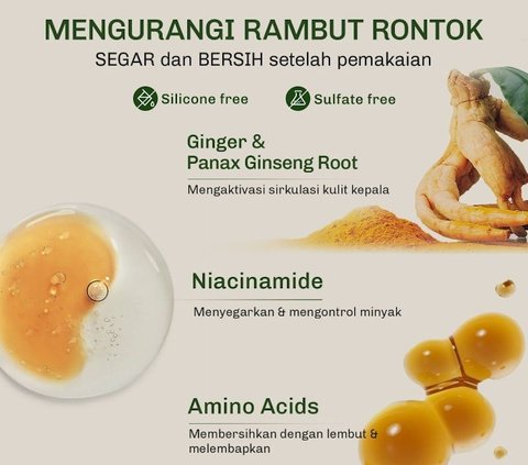 Rekomendasi shampo terbaik untuk mengatasi rambut tipis agar tampak lebih bervolume.