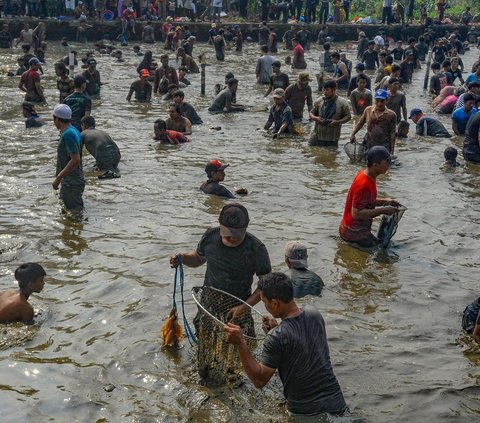 Ratusan warga berebut menangkap ikan menggunakan tangan selama Tradisi Ngubek Empang di Cilodong, Depok, Jawa Barat, Kamis (16/05/2024). Tradisi Ngubek Empang ini merupakan bagian dari rangkaian kegiatan perayaan Lebaran Depok  2024. Foto: Merdeka.com/Arie Basuki