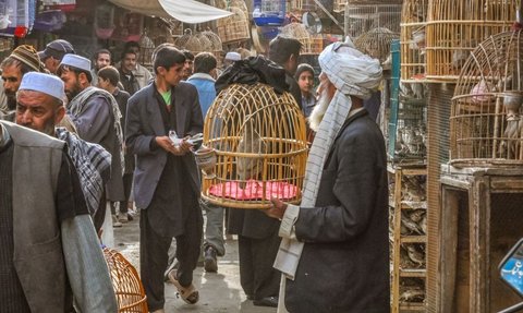 3 Fakta Luar Biasa soal Afghanistan yang Tak Diketahui Dunia, Isinya Buka Kondisi Sesungguhnya