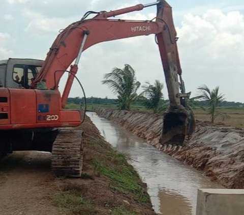 Genjot Produksi dan IP, Kementan Lakukan Opla Rawa 500 Ha di Aceh Utara