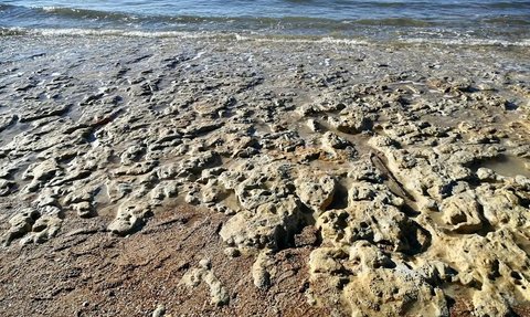 Ilmuwan Penasaran, Jejak Kaki Misterius Berusia 300.000 Tahun Ditemukan di Wilayah Tebing Andalusia