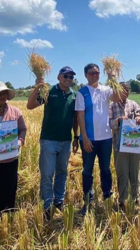 Curah Hujan Rendah, Petani Rote Gunakan Teknik Begini untuk Jaga Ketahanan Pangan