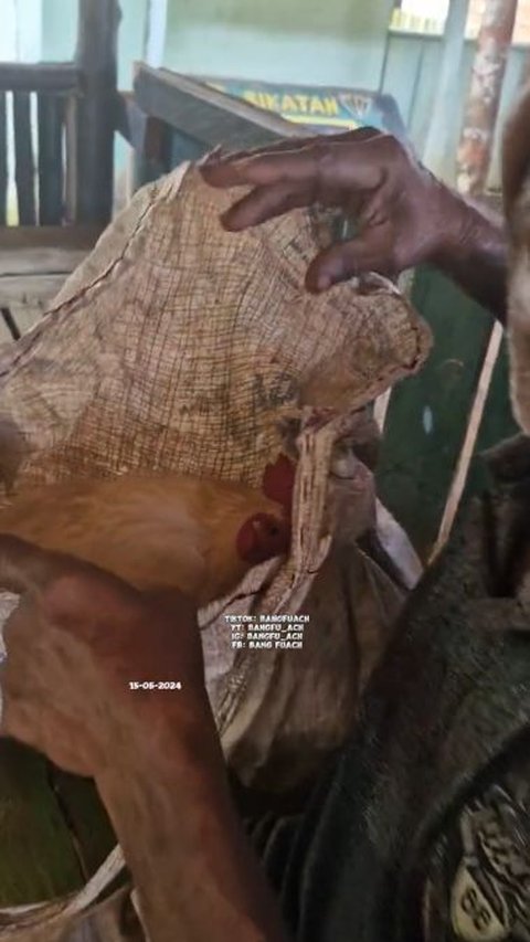 Demi Ingin Barter Seekor Ayam dengan Sembako, Bapak dan Kedua Anaknya di Papua Ini Rela Jalan Kaki Selama 4 Jam ke Posko TNI