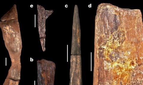 Ilmuwan Temukan Artefak Berusia 500.000 Tahun, Menunjukkan Manusia Purba yang Lebih Canggih