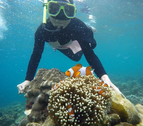 Jalan-Jalan di Pulau Pahawang, Objek Wisata Bahari Paling Populer di Lampung