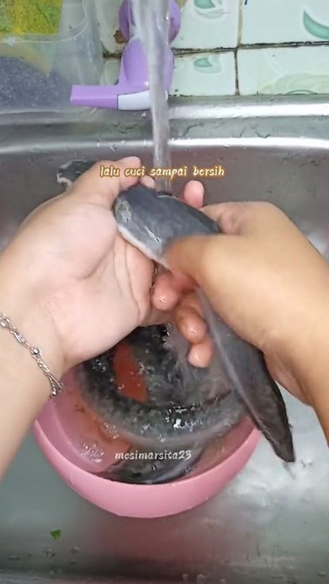 Cuci Bersih Ikan Lele