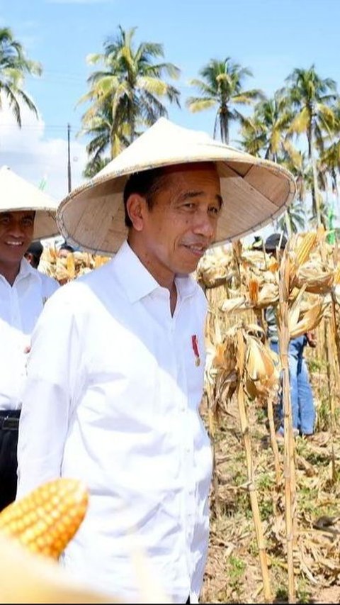 Jokowi Resmikan Bendungan Tiu Suntuk di Sumbawa Barat yang Habiskan Rp1,4 Triliun